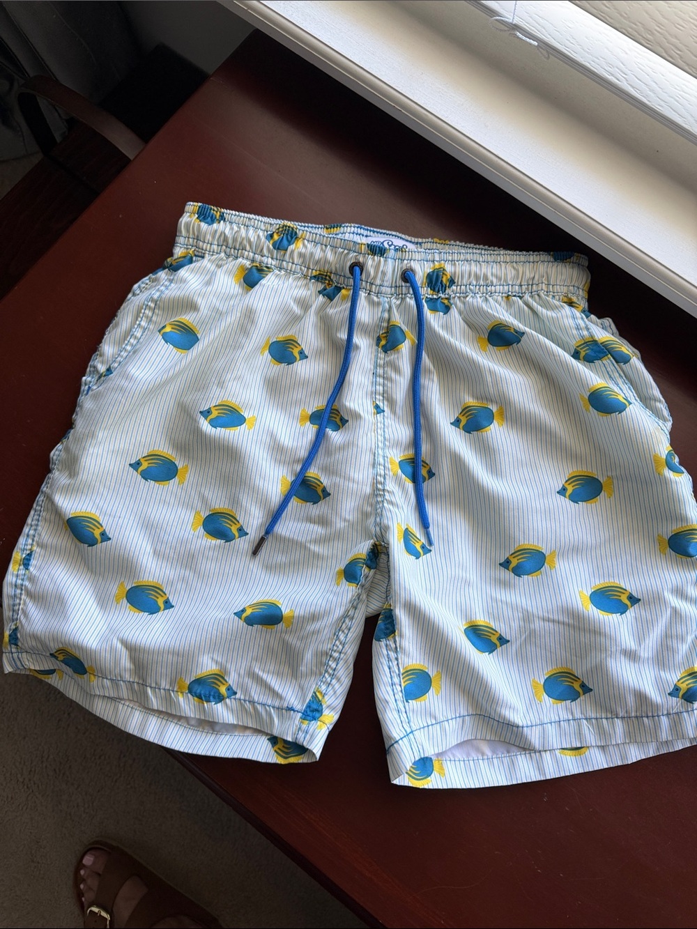 Mr.Swim White Swim Trunks with Blue Drawstring and Yellow & Blue Fish Print